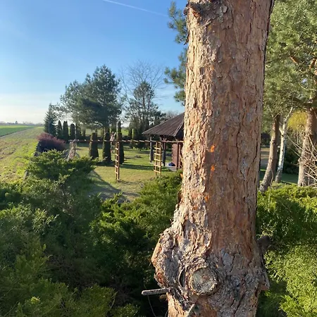 Agroturystka Pod Sosnami Apartment Baltow Exterior photo